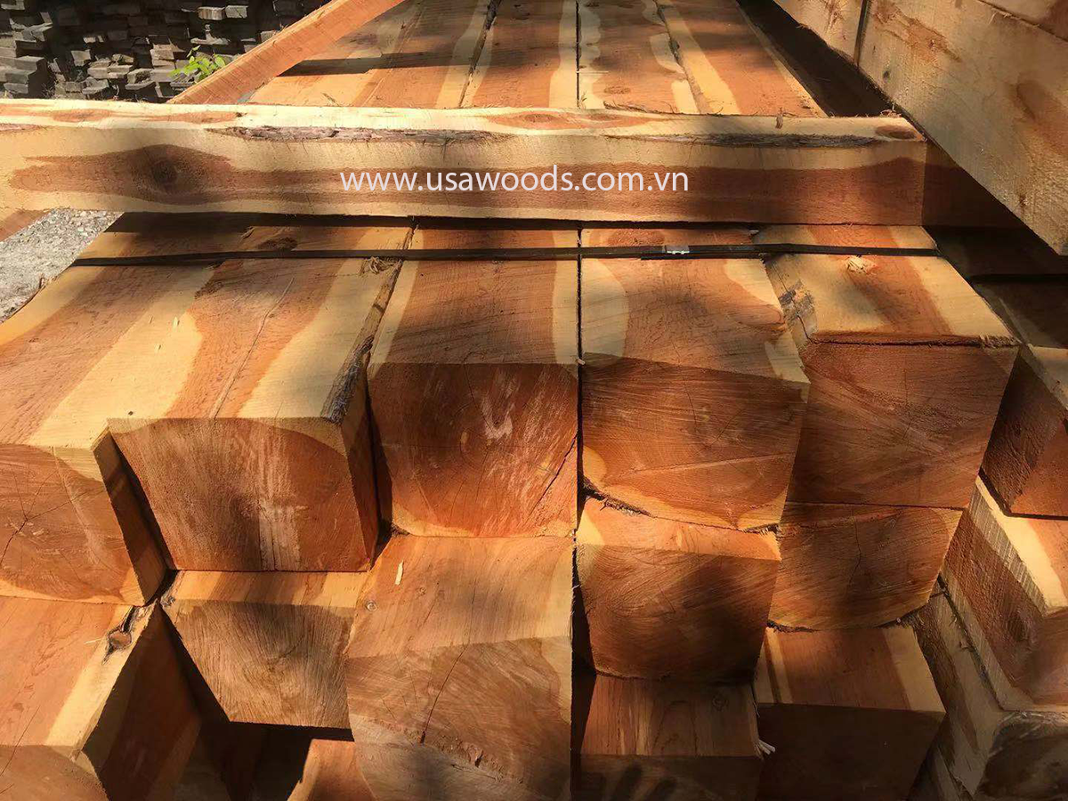 GỖ TUYẾT TÙNG ĐỎ (RED CEDAR CANTS) go tuyet tung do red cedar cants 7MXJ