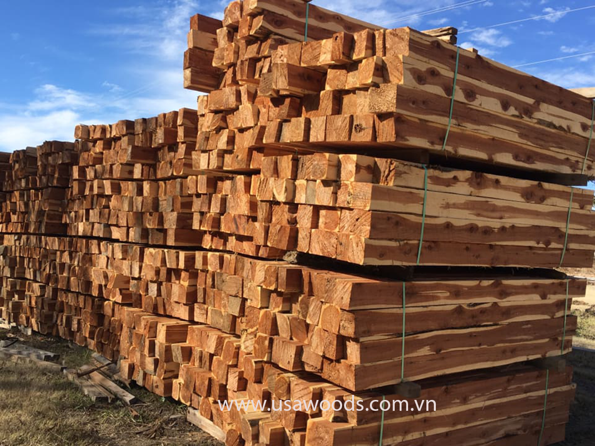 GỖ TUYẾT TÙNG ĐỎ (RED CEDAR CANTS) go tuyet tung do red cedar cants m9Xp