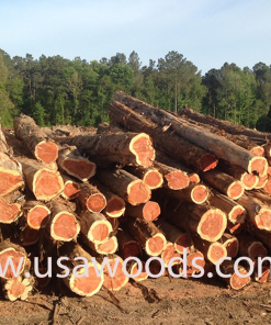 GỖ TUYẾT TÙNG ĐỎ TRÒN(RED CEDAR LOG)