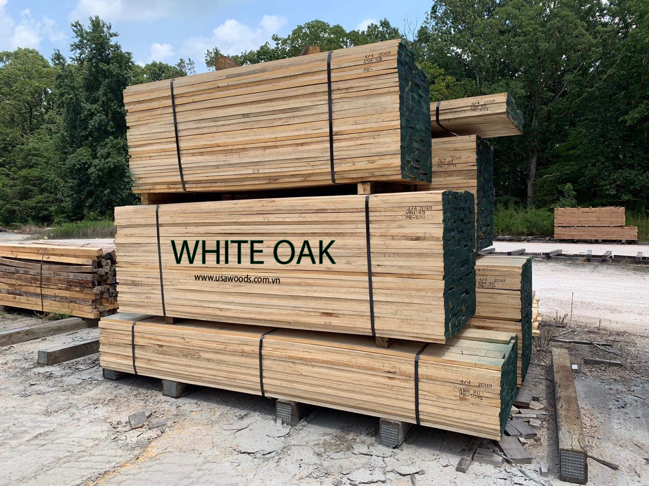 GỖ SỒI TRẮNG (WHITE OAK)