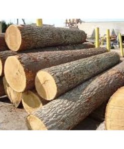 GỖ SỒI TRÒN (OAK LOG) GỖ SỒI TRÒN (OAK LOG)
