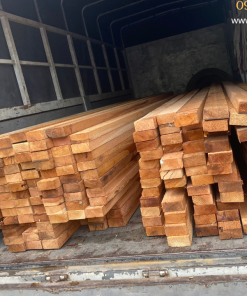 GỖ TUYẾT TÙNG ĐỎ CANADA (WESTERN RED CEDAR) Gỗ tuyết tùng đỏ canada