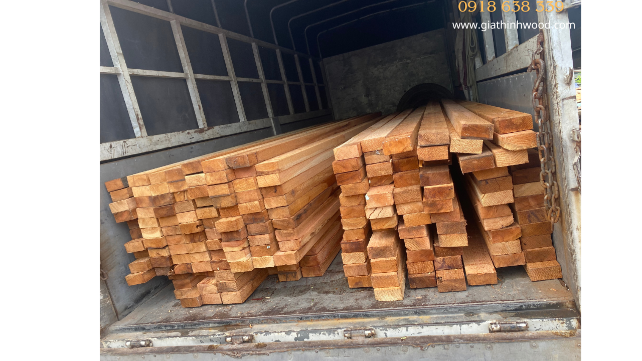GỖ TUYẾT TÙNG ĐỎ CANADA (WESTERN RED CEDAR) Gỗ tuyết tùng đỏ canada