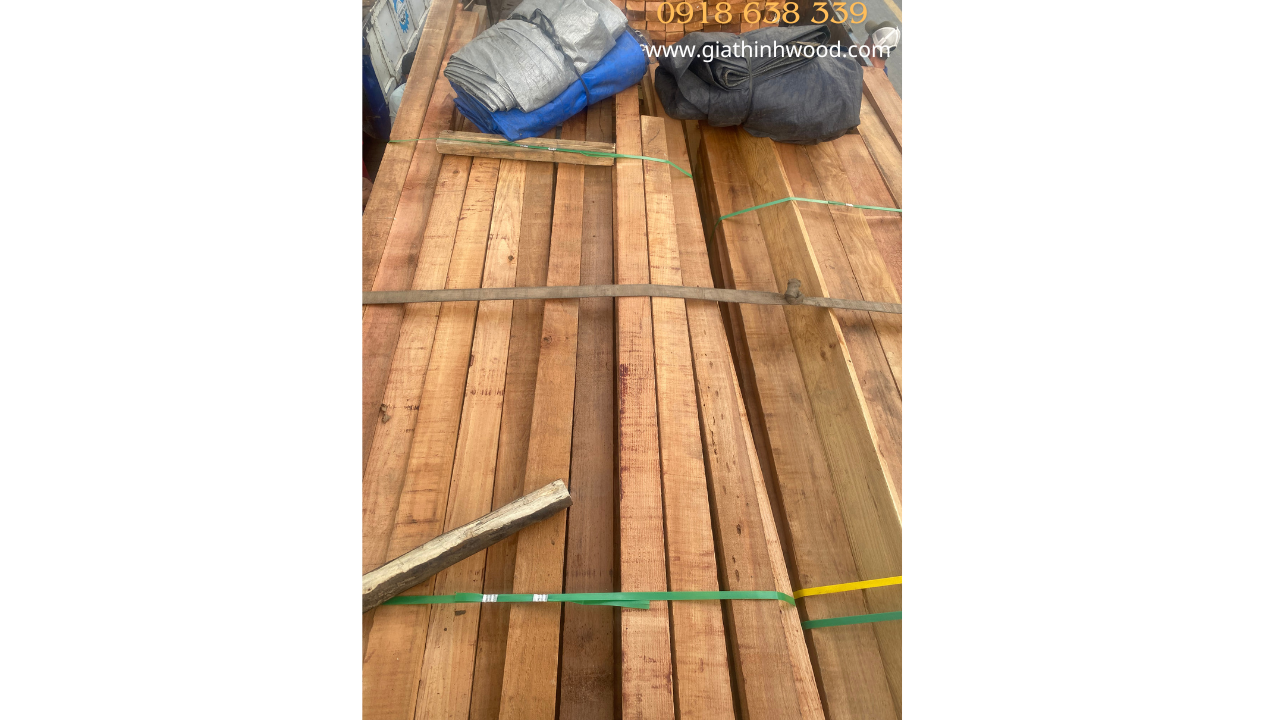 GỖ TUYẾT TÙNG ĐỎ CANADA (WESTERN RED CEDAR) Gỗ tuyết tùng đỏ canada